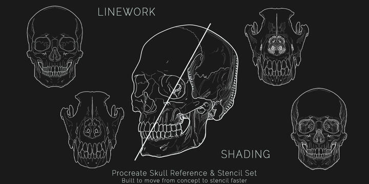 Skull Reference & Stencil Set